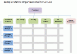 matrix-organizational-structure